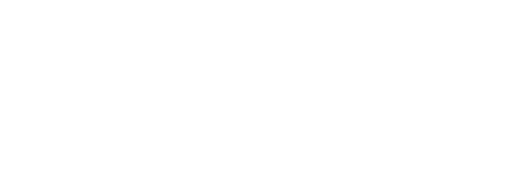 The Gartmanov Team